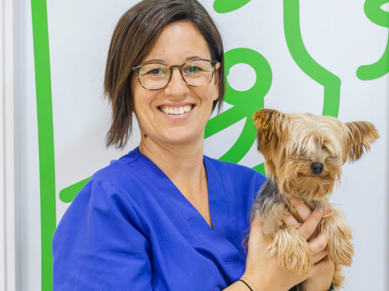 Veterinaria de Giravet con perro en brazos